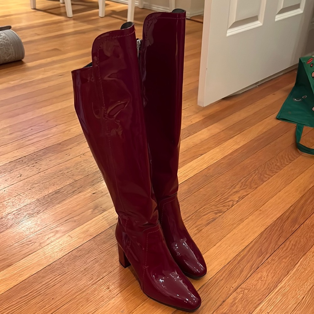 Aquatalia Over the knee boots